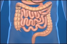 Abdominal & Intestinal Surgery